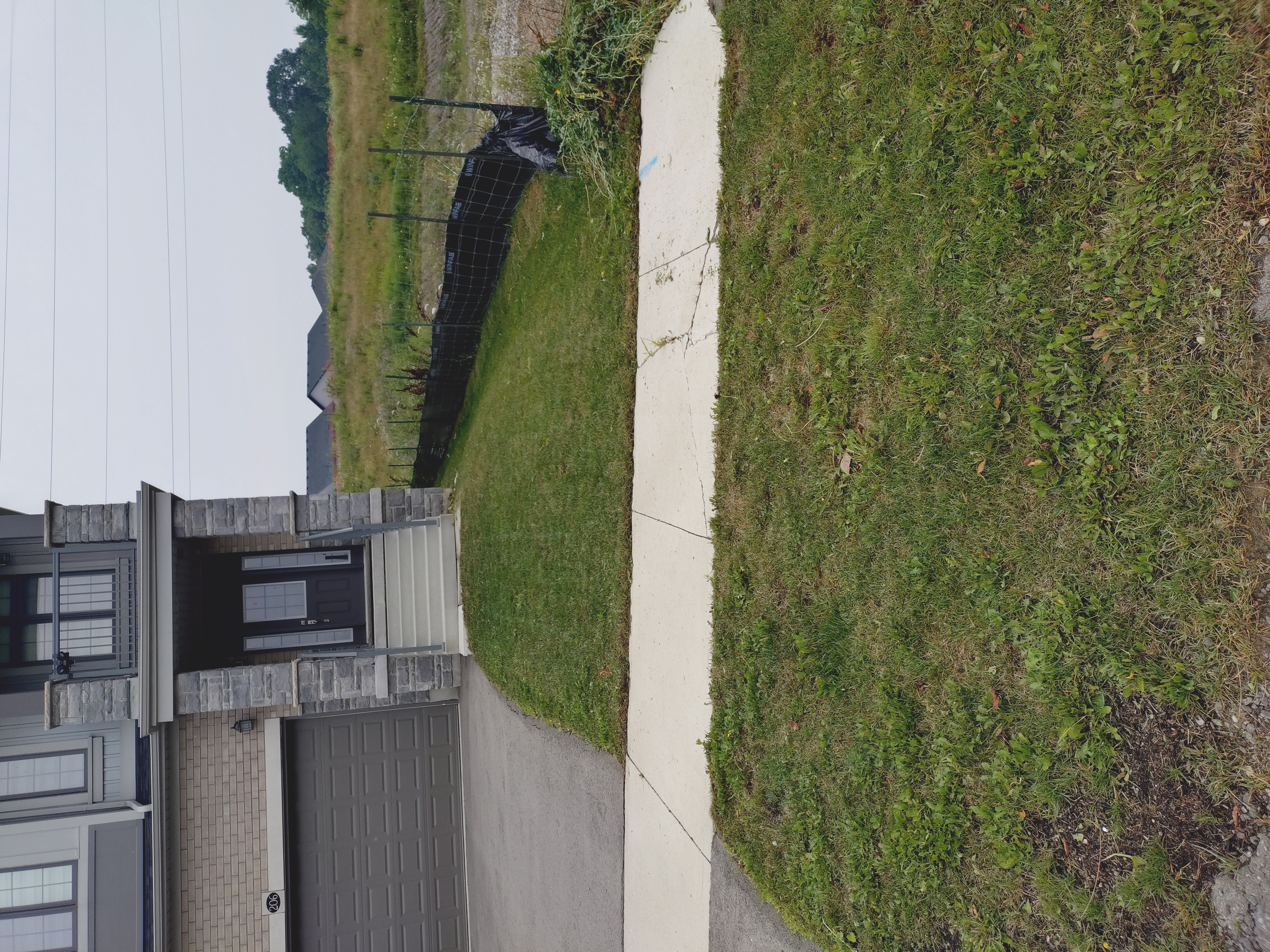 Hedge removal